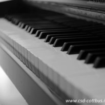 12.07.2017 | Pianobar im OBENKINO