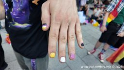 29.06.2024 | CSD - Demo