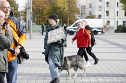 25.10.2025 | CSD - Demo