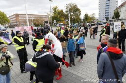 25.10.2025 | CSD - Demo