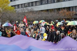 25.10.2025 | CSD - Demo